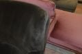 Ex display Danetti armchair, Danetti Harlan dark chocolate velvet accent chair, Danetti outlet Lancashire