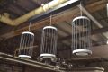 ex display ceiling lights searchlight clearance outlet Manchester