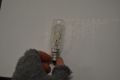 T25 Cooker Hood Light Bulbs E14 40W Incandescent